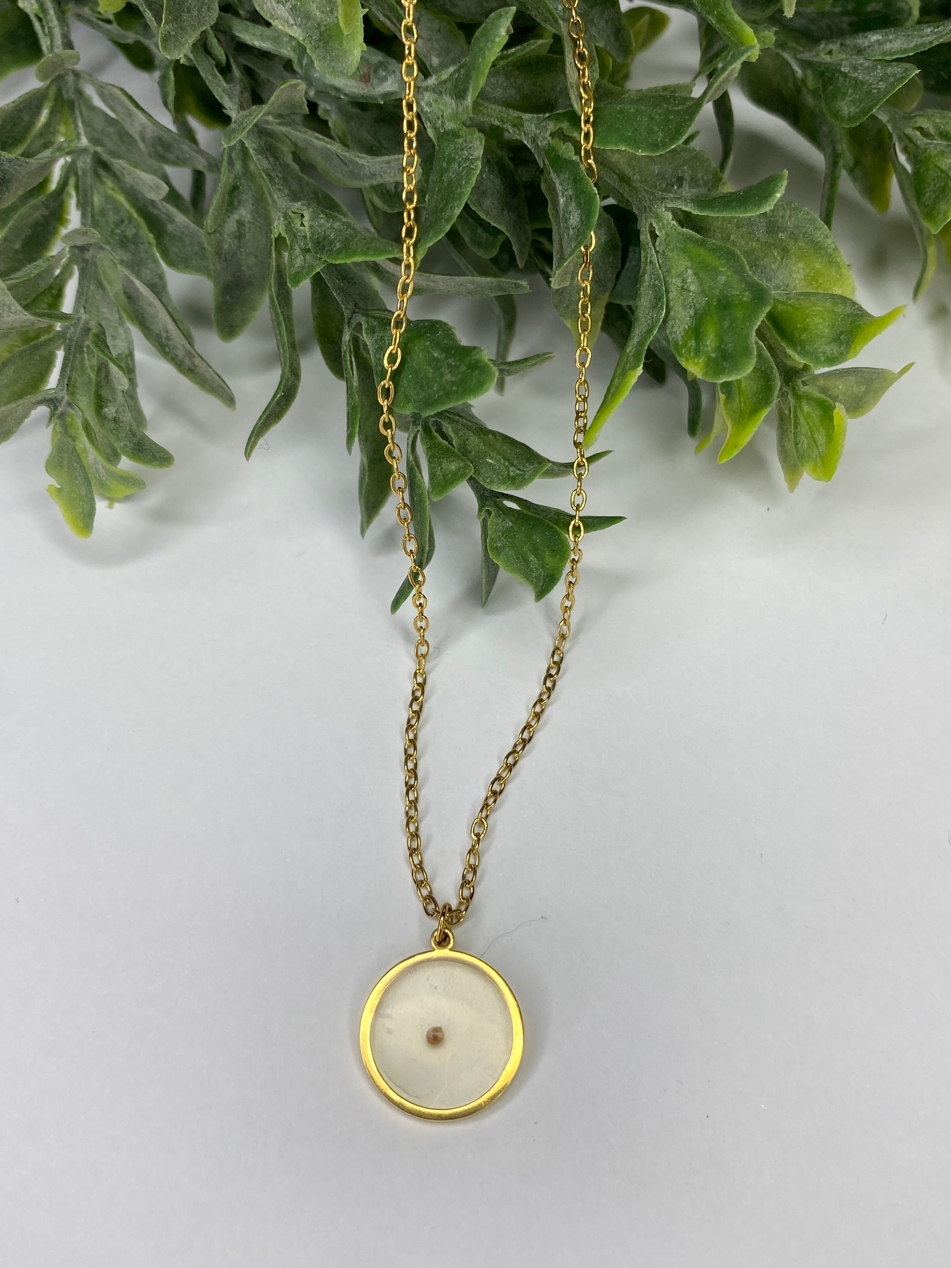 🌿Elegant Mustard Seed Faith Necklace – 18K Gold Plated Round Pendant /Stainless Steel Round Pendant  Silver/Gold 🌿